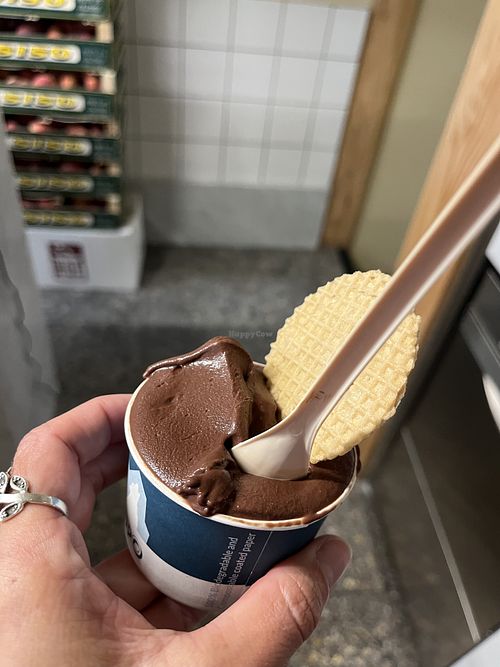 Dark Chocolate Sorbet - tasty  at Gelupo in London