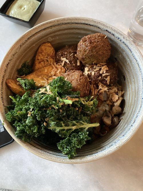 Falafel bowl at Mahalo in Panama City