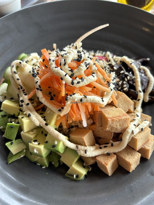 Bowl vegano  at El Jardin in Puerto Ayora