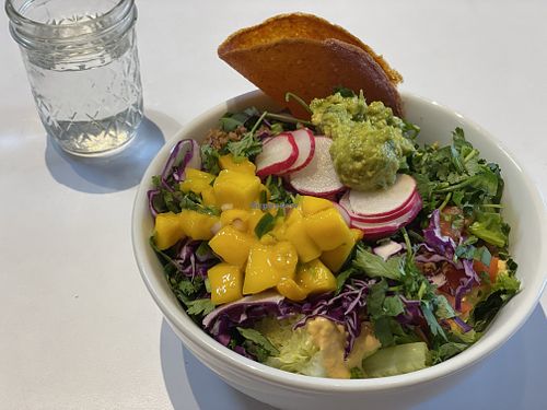 Nacho salad with coconut wrap instead of tostada  at Under the Sun Cafe in Long Beach