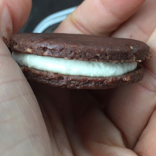 raw vegan Oreo  at Nettie's Naturally in Richmond