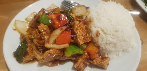 Kung Po deep fried tofu and rice (vg) at Amaysia Restaurant in Newcastle Upon Tyne