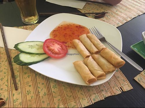 Spring rolls (vegan) at Pho3mien in Hannover