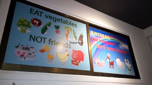 Slogan at Sweet Root Vegetarian Restaurant  in Phnom Penh