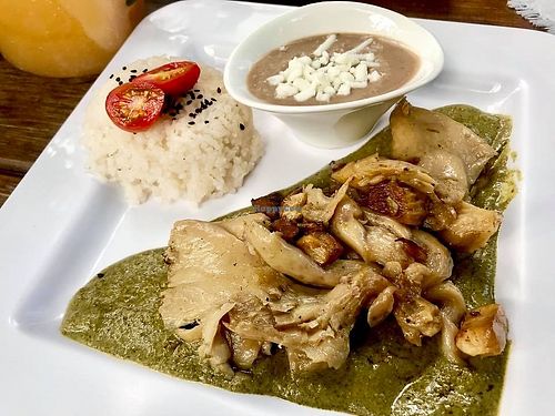 shrooms at Purple-Veg in Mexico City