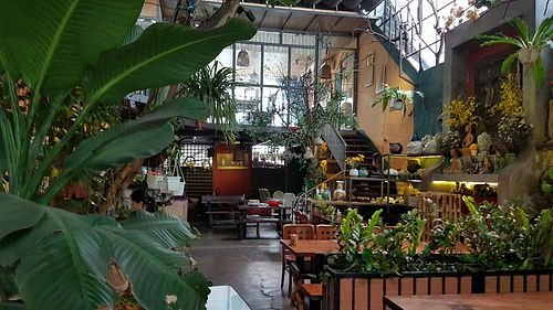  at Metta Vegetarian in Ho Chi Minh City