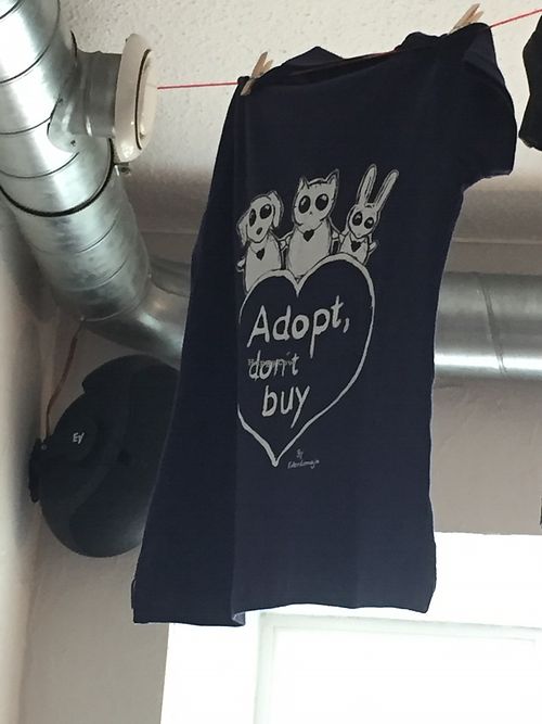 inside 2 at Lieblingscafe in Bregenz