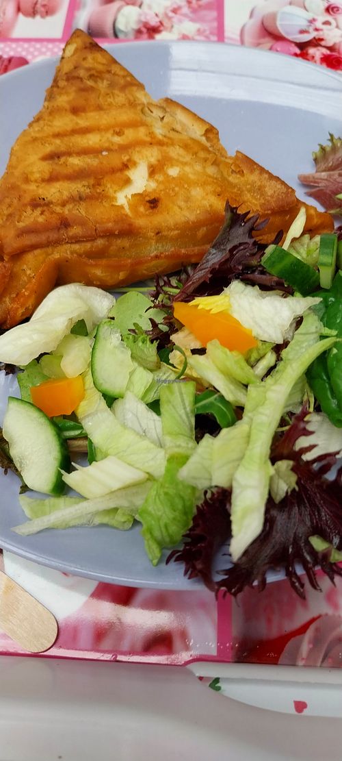  at The Retreat Animal Rescue Farm Sanctuary and Cafe in Ashford