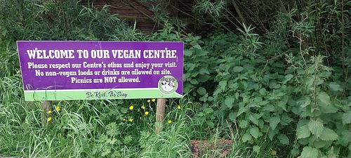  at The Retreat Animal Rescue Farm Sanctuary and Cafe in Ashford