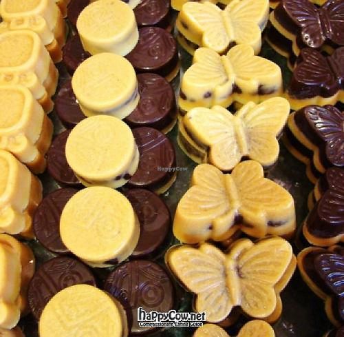 Largest Raw Vegan Organic Chocolate Options in the World! at ChocolaTree Organic Oasis in Sedona