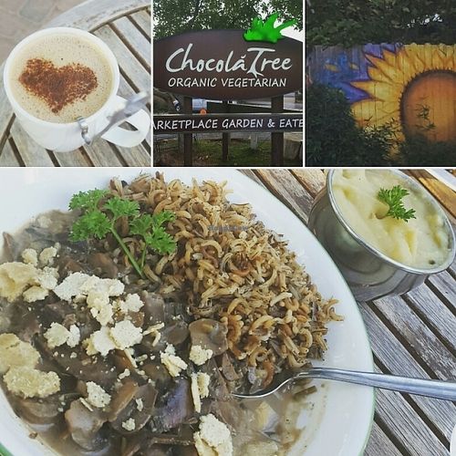 mushroom noodle dish, love drink and side of potatoes  at ChocolaTree Organic Oasis in Sedona