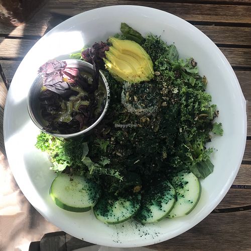 Green Goddess Salad at ChocolaTree Organic Oasis in Sedona