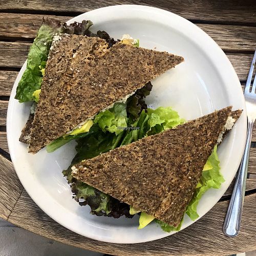 Avo Sandwich at ChocolaTree Organic Oasis in Sedona