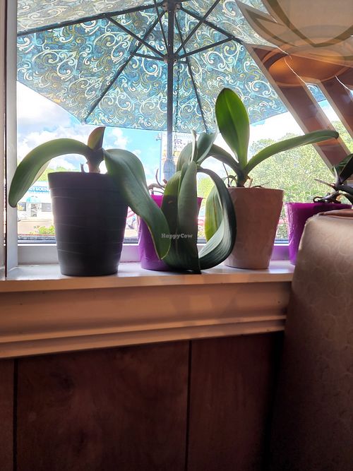  at Grilled Ginger in Fayetteville