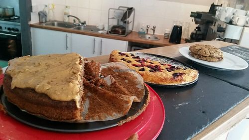 Desserts: Walnut Cardomon cake,  Black currant and almond Cake, Peanut butter Chocolate Chip Cookie at Herbivore in Cardiff