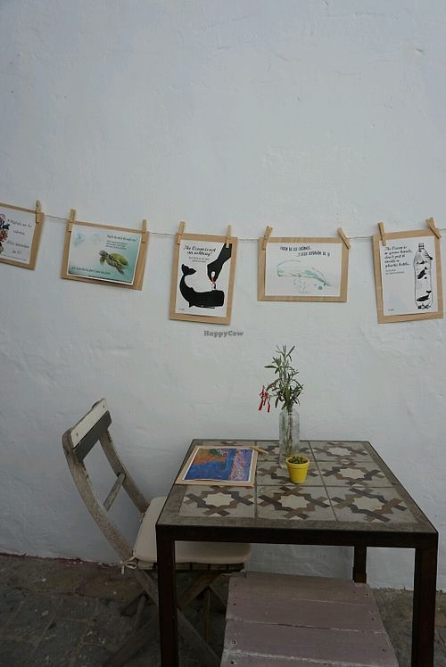 in thr courtyard at Tarifa EcoCenter in Tarifa