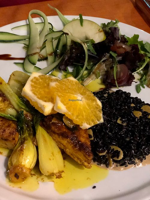 WILD RICE with marinated tofu, sprouts,sallad and orange at Lusitania in Alvor