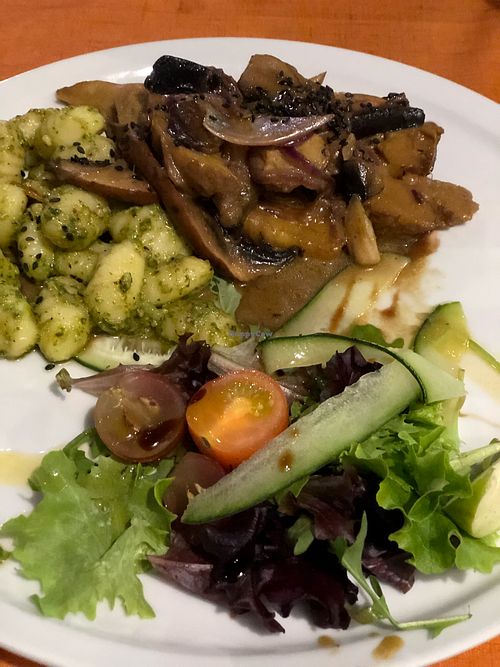 Home made vegan special seitan with gnocchi, mushroom and sallad at Lusitania in Alvor