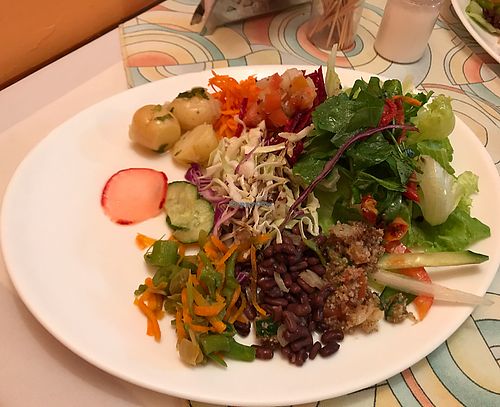 Salad at Saude e Sabor in Sao Paulo