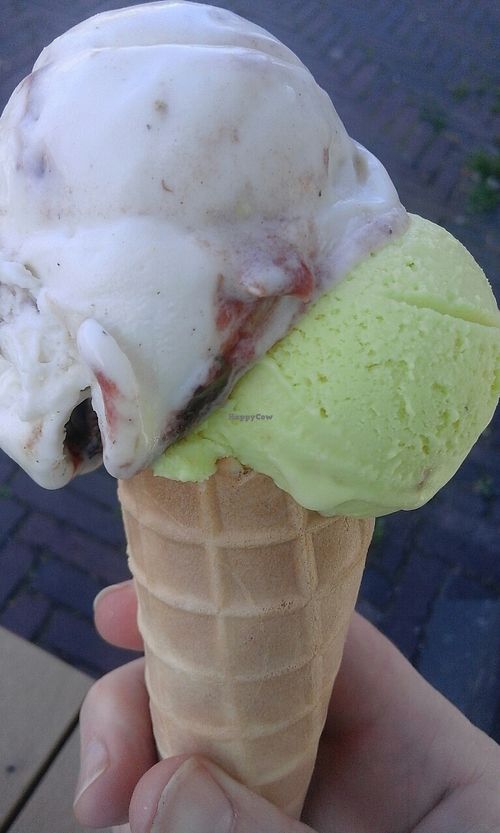 vegan icecream at JuiceBrothers - Haarlemmerplein in Amsterdam