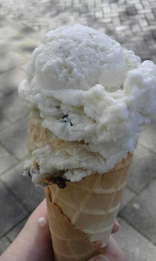 chocomint and coffee vegan icecream at JuiceBrothers - Haarlemmerplein in Amsterdam