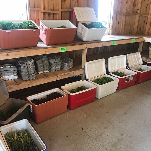 produce at Brown's Farm Stand in Boothbay Harbor