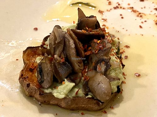 starter at Edelgrün in Cologne