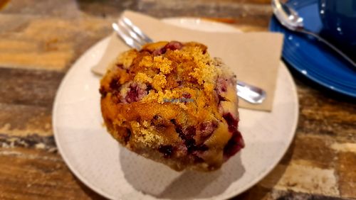 Rasberry muffin at Olivia Spring Cafe in Moonee Ponds