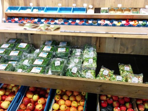 fresh produce at Het Natuurhuis - Zuid in Antwerpen