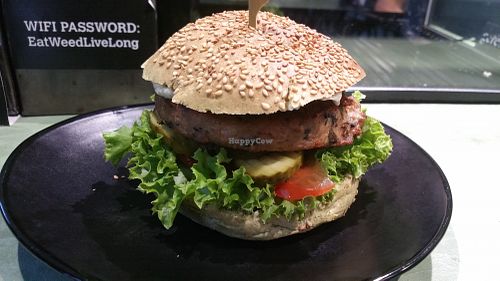 Seaweed burger at The Dutch Weed Burger - Food Truck in Amsterdam