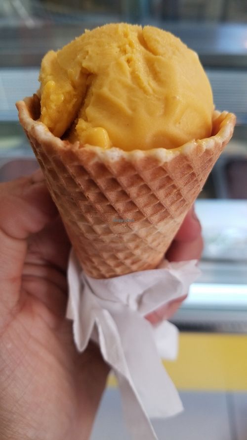 Mango.Vegan Ice Cream at Joy Madal in Geneva