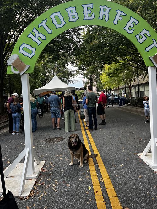 Oktoberfest @ restaurant-good dog friendly  at Cantinflas Mexican and Vegetarian Cuisine in Greenville