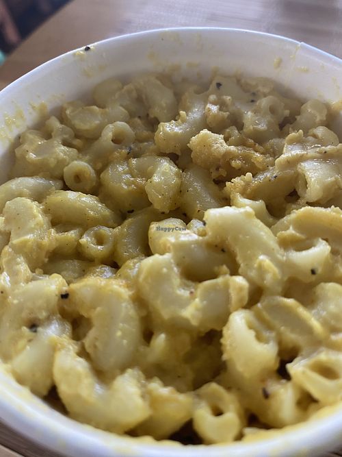 Mac at Sprouting Dreams in Dayton