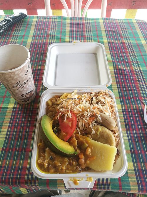 Image of Dr Spice Vegetarian 