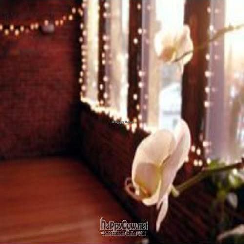 Our lovely front windows at Radha Yoga and Eatery in Vancouver