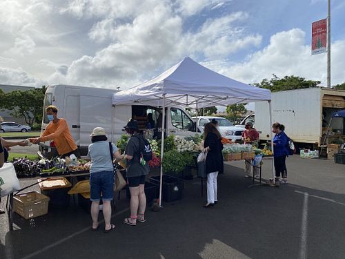Lots of greens! at Farmer's Market in Lihue