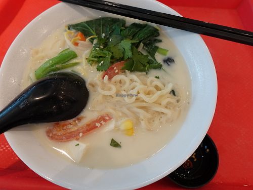 Soya Soup Dumpling Ramen at Truly Vegetarian in Central Singapore