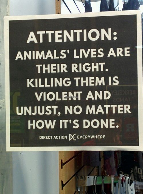 TRUTH! at Snacktown at the Berkeley Animal Rights Center in Berkeley
