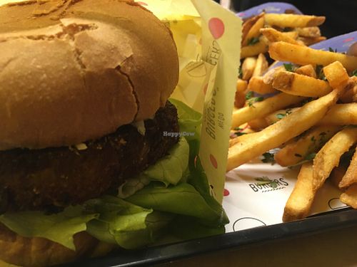 vegan burgers and crunchy fries at WeDoBurgers in Aalborg
