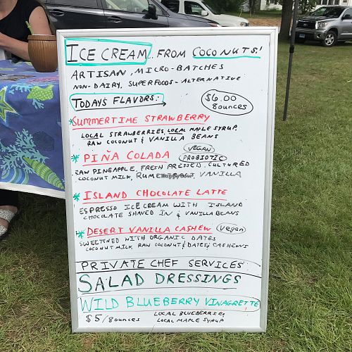 flavors at Wild Island Non-Dairy Ice Cream in Boothbay