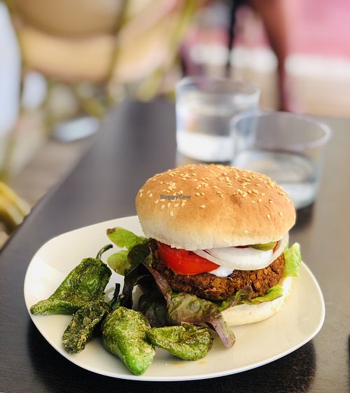 Home made lentil burger 🍔  at Petit Vegan in Cambrils