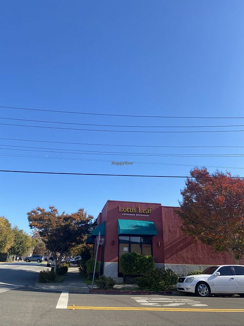 Lotus Leaf Restaurant Spotted Today (Wasn’t Open)  at Lotus Leaf in San Leandro