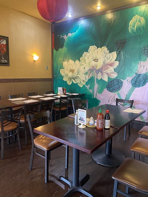 Cute Interior and Kind Personnel/Service  at Lotus Leaf in San Leandro