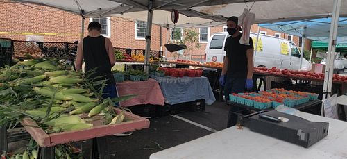 Corn and produce at Falls Church City Farmers Market in Falls Church