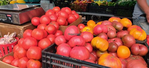 Tomatoes at Falls Church City Farmers Market in Falls Church