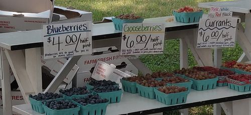 Berries at Palisades Farmers Market in Washington