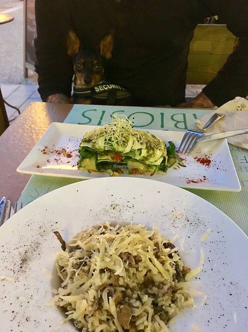 risotto and raw vegan lasagna--per friendly :)  at Simbiosis in Ibiza