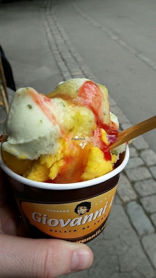 Vegan ice cream! at Almas Terrasse - Bakken Amusement Park in Klampenborg