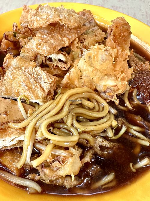 Lor Mee 👍🏻   at Xing Guang Vegetarian 星光素食 in Central Singapore