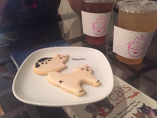 Vegan cat cookies. at Kawaii Kitty Cafe in Philadelphia